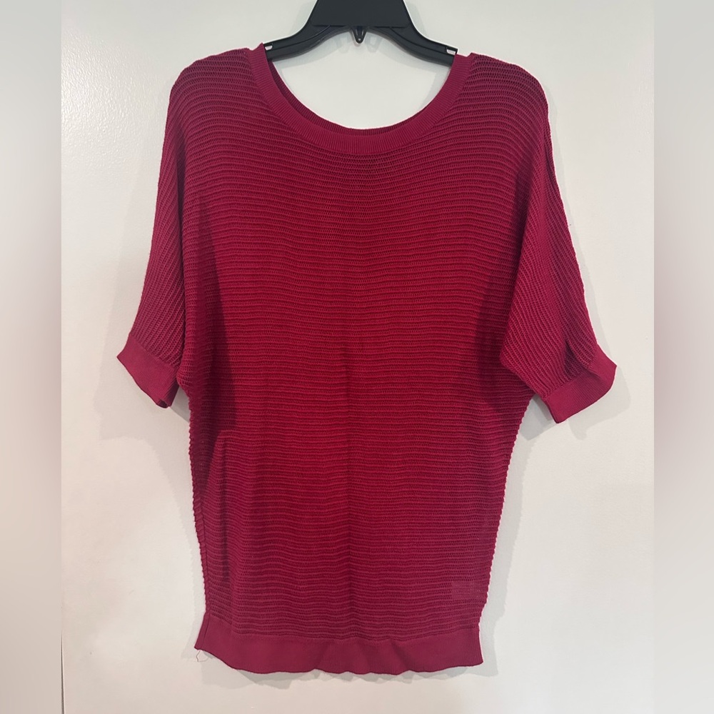 Express Red Scoop Neck sweater
